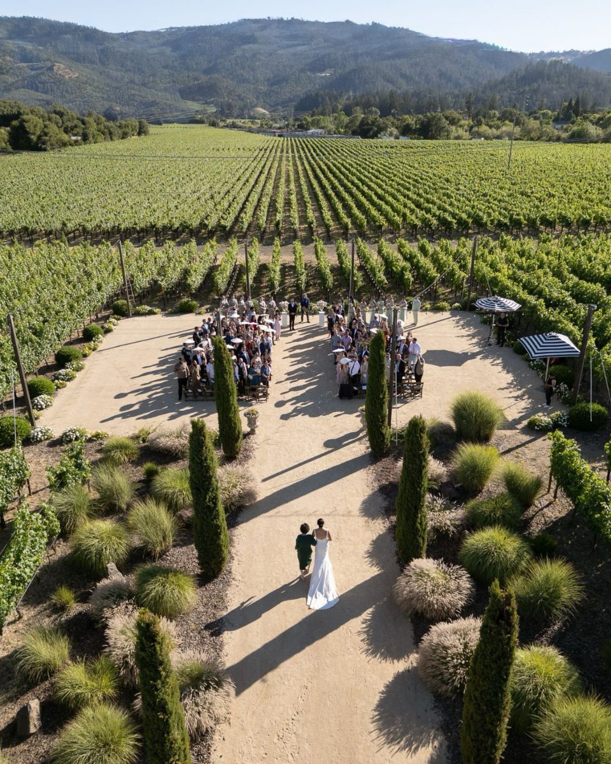 Bride and groom walking toward wedding guests in a lush California vineyard setting